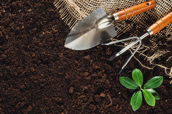 腐葉土や堆肥などの補助用土で土壌を改良。補助用土が果たす役割
