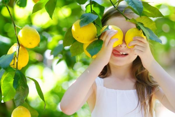 ブルーベリーやレモンなど、お庭で栽培できる育てやすい果樹3選