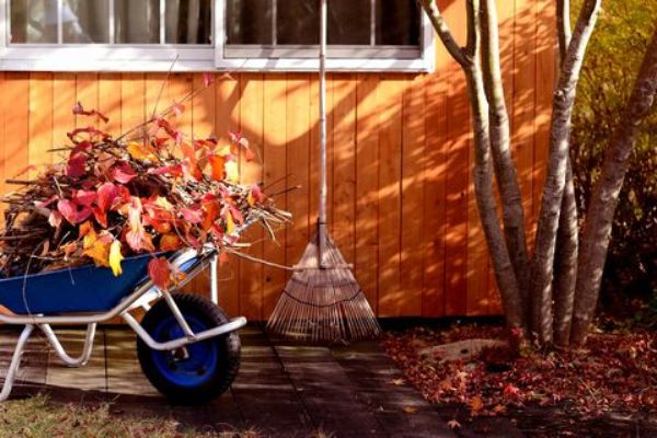 落ち葉や枯れ葉の掃除が面倒…誰でもできるお庭のお掃除テクニックをご紹介
