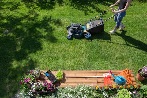 きれいな状態を保ちたい 芝生のお手入れ道具とお手入れ方法をチェック ブログ Meets