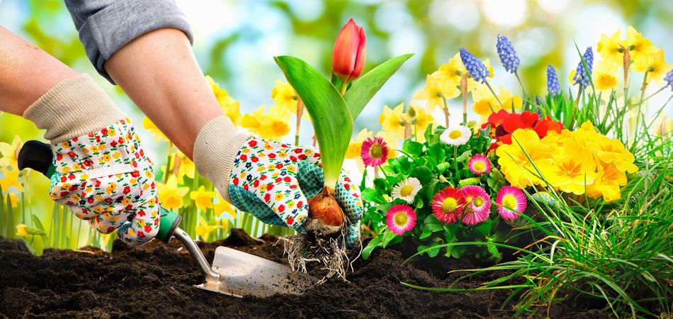 ガーデニングで使う土にはどんなものがある 園芸用土の種類と特徴 ブログ Meets