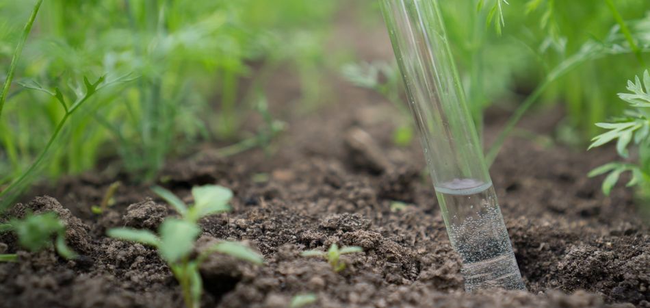 液肥 液体肥料 の作り方と与え方 基本と応用をご紹介 ブログ Meets
