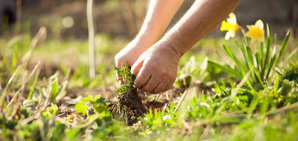 砂利 防草シート これで草むしりが楽になる お庭の雑草対策 ブログ Meets