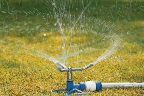 芝生の水やりの頻度はどれくらい 効率的な水やり方法は ブログ Meets